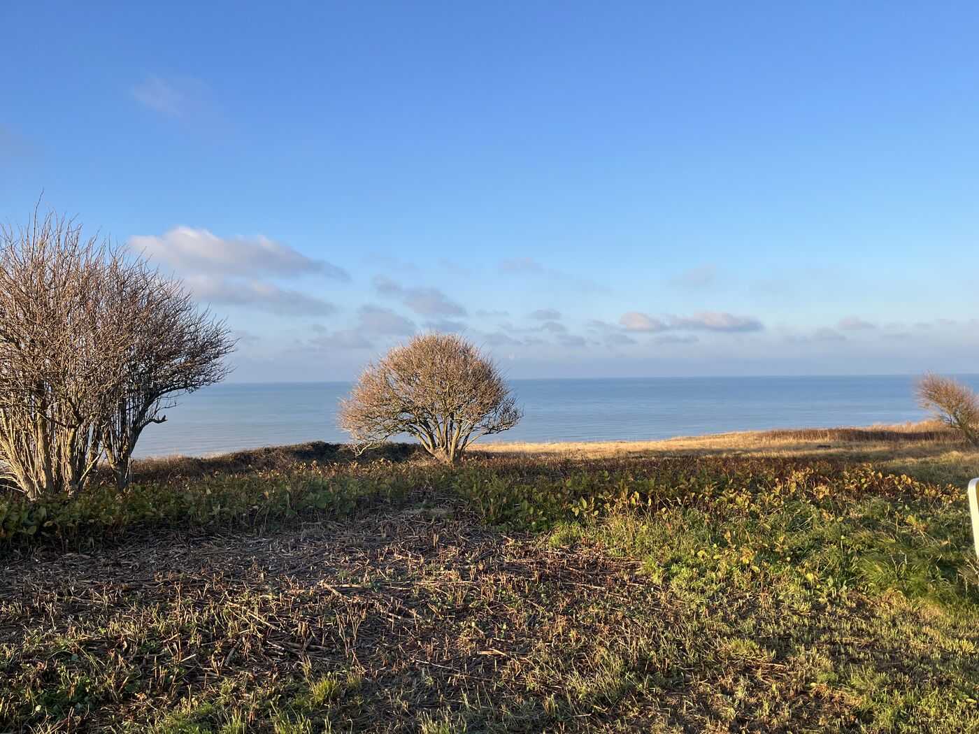 Vue sur la mer depuis la Villa Médaillon